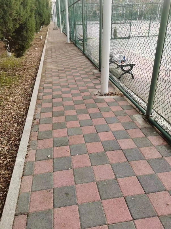 壹号体育赛事资讯平台