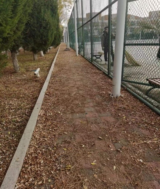 壹号体育官方线路
